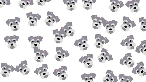 Seamless Pattern of Cute Cartoon Schnauzer Dog Heads on White Background Stock Footage 345539278