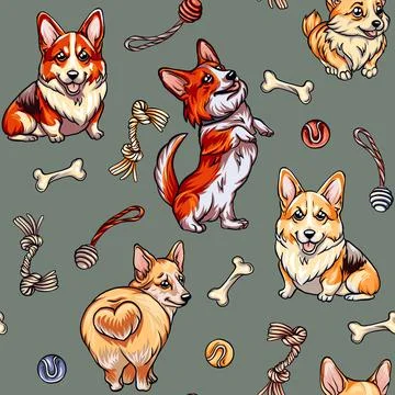 Seamless pattern of cute corgi dogs, and dog staff, pet dog accessories rea.. Stock Illustration