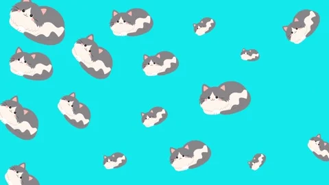Seamless Pattern of Cute Grey and White Cartoon Cats on a Bright Cyan Background Stock Footage 345540023