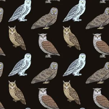 Seamless pattern with cute owls for design and textile. 스톡 일러스트