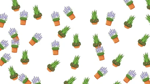 Seamless pattern of cute potted cactus and succulent plants on white background Stock Footage 345539475