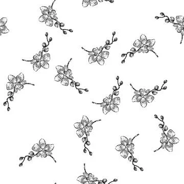Seamless pattern cymbidium orchid sketch hand drawn Stock Illustration