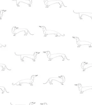 Seamless pattern dachshund dogs linear sketch 스톡 일러스트
