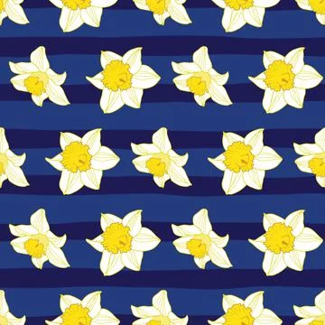Seamless pattern of daffodil on dark blue stripes Stock Illustration