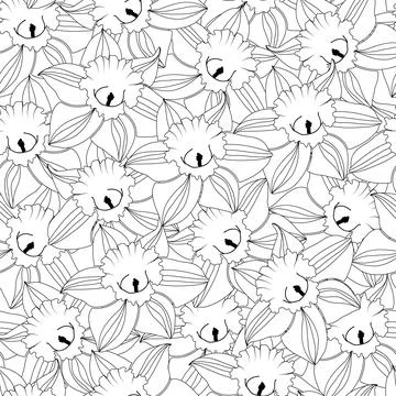 Seamless pattern of daffodil flowers texture background Stock Illustration