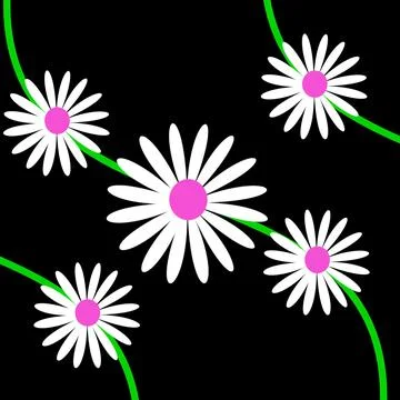 Seamless pattern with daisies on a black background. Illustrazione stock