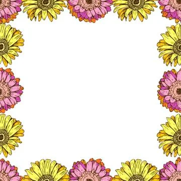 Seamless pattern with daisies flower on white background.  Stock Illustration