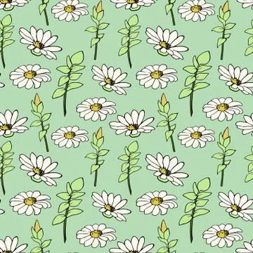 Seamless pattern with daisies Stock Illustration