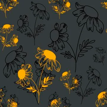 Seamless pattern with daisies outlines Stock Illustration