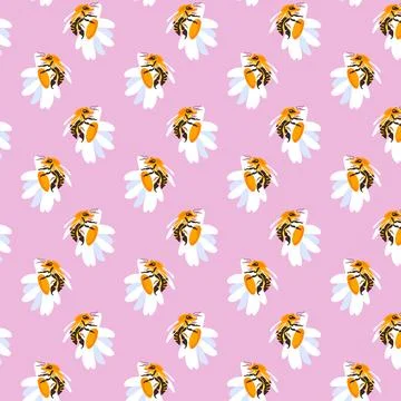 Seamless pattern daisy bee Pink background meadow Postcard poster banner Spring Stock Illustration