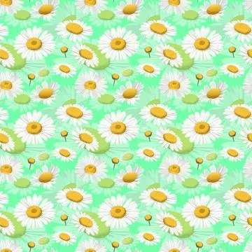 Seamless Pattern with Daisy Blooms Everywhere Stock Illustration