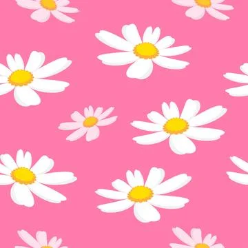 Seamless pattern of daisy flower on pink background vector illustration. Illustrazione stock