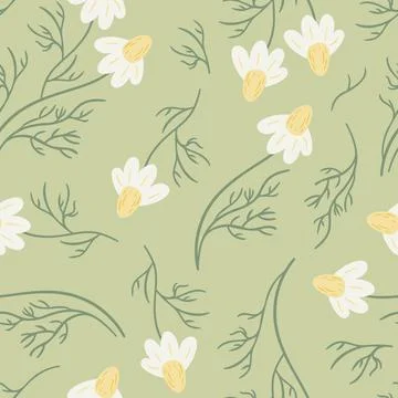 Seamless pattern with daisy flower, small white flower and green leaves. Cute Stock Illustration