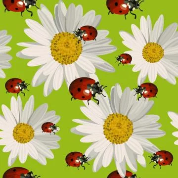 Seamless pattern with daisy flowers and ladybugs Stock Illustration