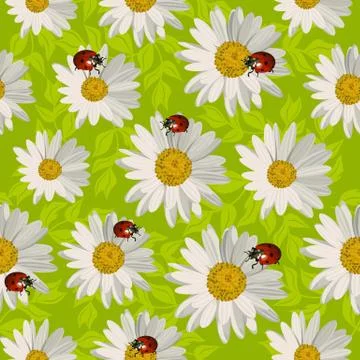 Seamless pattern with daisy flowers and ladybugs. Stock Illustration