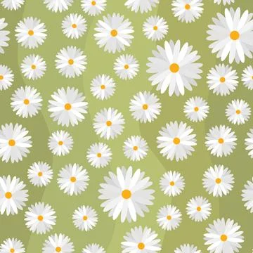 Seamless pattern with daisy flowers on green background. Illustrazione stock