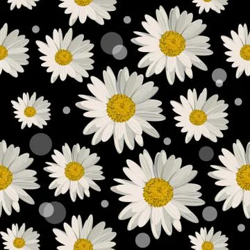 Seamless pattern with daisy flowers Stock Illustration