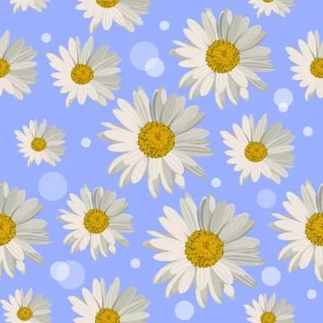 Seamless pattern with daisy flowers Stock Illustration