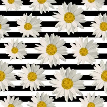 Seamless pattern with daisy flowers Illustrazione stock