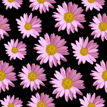 Seamless pattern with daisy flowers Illustrazione stock