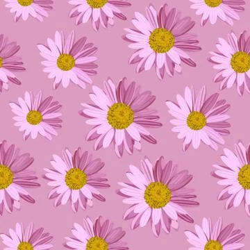 Seamless pattern with daisy flowers Stock Illustration