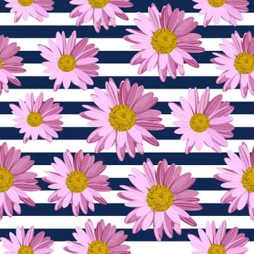 Seamless pattern with daisy flowers Stock Illustration