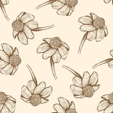 Seamless pattern with daisy flowers. Stock Illustration