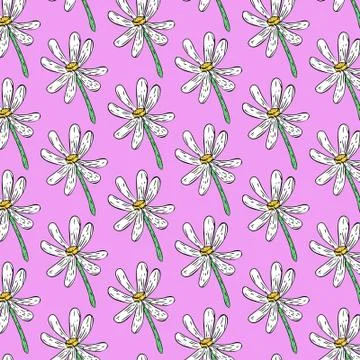 Seamless pattern with daisy. Stock Illustration