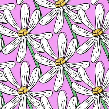 Seamless pattern with daisy. Stock Illustration