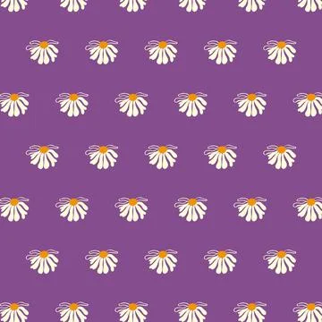 Seamless pattern daisy Lilac background dards posters banners Spring Summer Stock Illustration