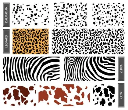 Seamless pattern of dalmatian, leopard spots. horizontal backdrop, Stock Illustration