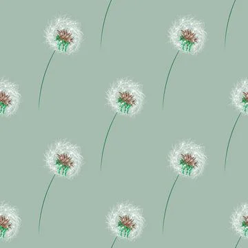 Seamless pattern with dandelion . Stylish repeating texture. vector Stock Illustration