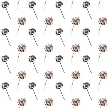 Seamless pattern of dandelions on white background Stock Illustration
