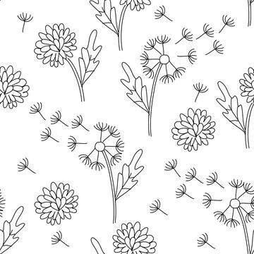 Seamless pattern with dandellions. Botany vector illustration Stock Illustration