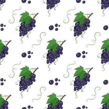 Seamless pattern with dark grapes on branches with berries and leaves Illustration