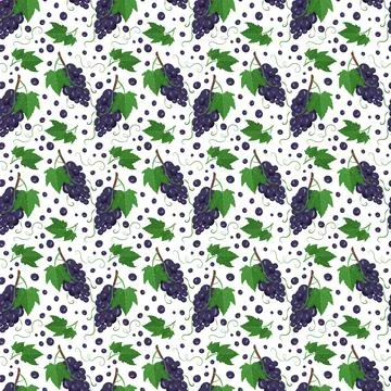 Seamless pattern with dark grapes on branches with berries and leaves. Illustration