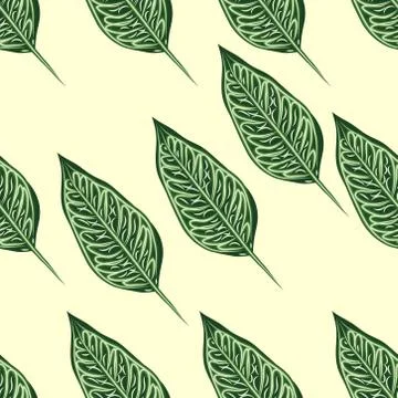 Seamless pattern, dark green, white and brown Ficus Elastica leaves on light  Stock Illustration