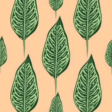 Seamless pattern, dark green, white and brown Ficus Elastica leaves on light  Stock Illustration