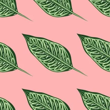 Seamless pattern, dark green, white and brown Ficus Elastica leaves on light  스톡 일러스트
