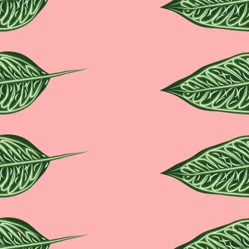 Seamless pattern, dark green, white and brown Ficus Elastica leaves on light  스톡 일러스트