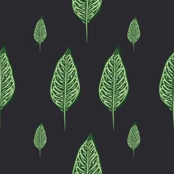 Seamless pattern, dark green, white and brown Ficus Elastica leaves on light  Stock Illustration