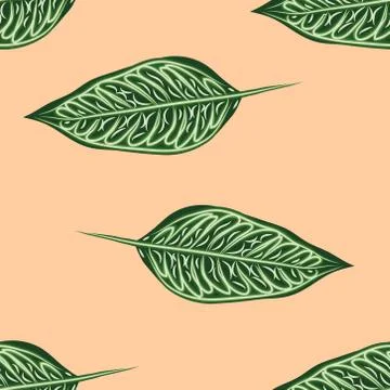 Seamless pattern, dark green, white and brown Ficus Elastica leaves on light  스톡 일러스트