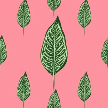 Seamless pattern, dark green, white and brown Ficus Elastica leaves on light  스톡 일러스트
