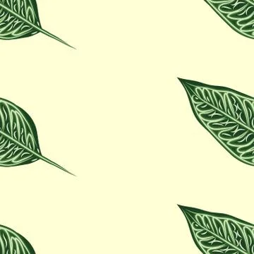 Seamless pattern, dark green, white and brown Ficus Elastica leaves on light  Stock Illustration