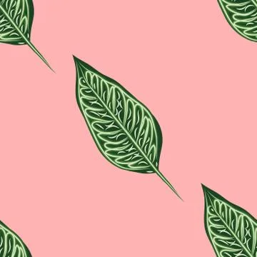 Seamless pattern, dark green, white and brown Ficus Elastica leaves on light  Stock Illustration