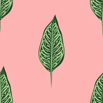 Seamless pattern, dark green, white and brown Ficus Elastica leaves on light  스톡 일러스트