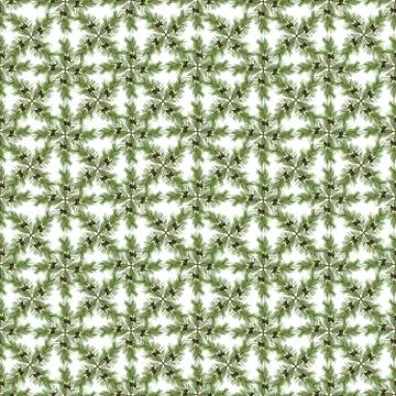 Seamless pattern, decoration, background of natural green branches of pine co Stock Photos