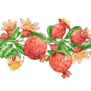 Seamless pattern decorative element line with horizontal pomegranate fruit br Stock Illustration
