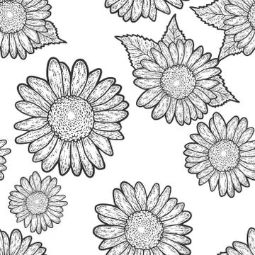Seamless pattern. Decorative flower of a sunflower. Sketch scratch board イラスト素材