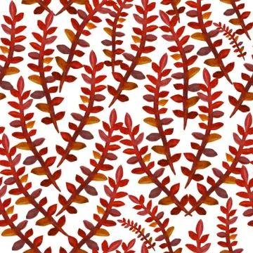 Seamless pattern with decorative flowers, for invitations, cards, scrapbooking Stock Illustration